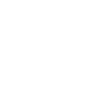 icons8 car 100