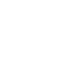 icons8 car rental 100